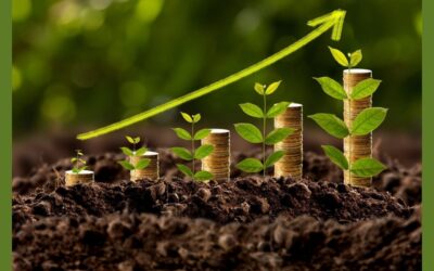 Green Finance in India: Challenges and Policy Recommendations